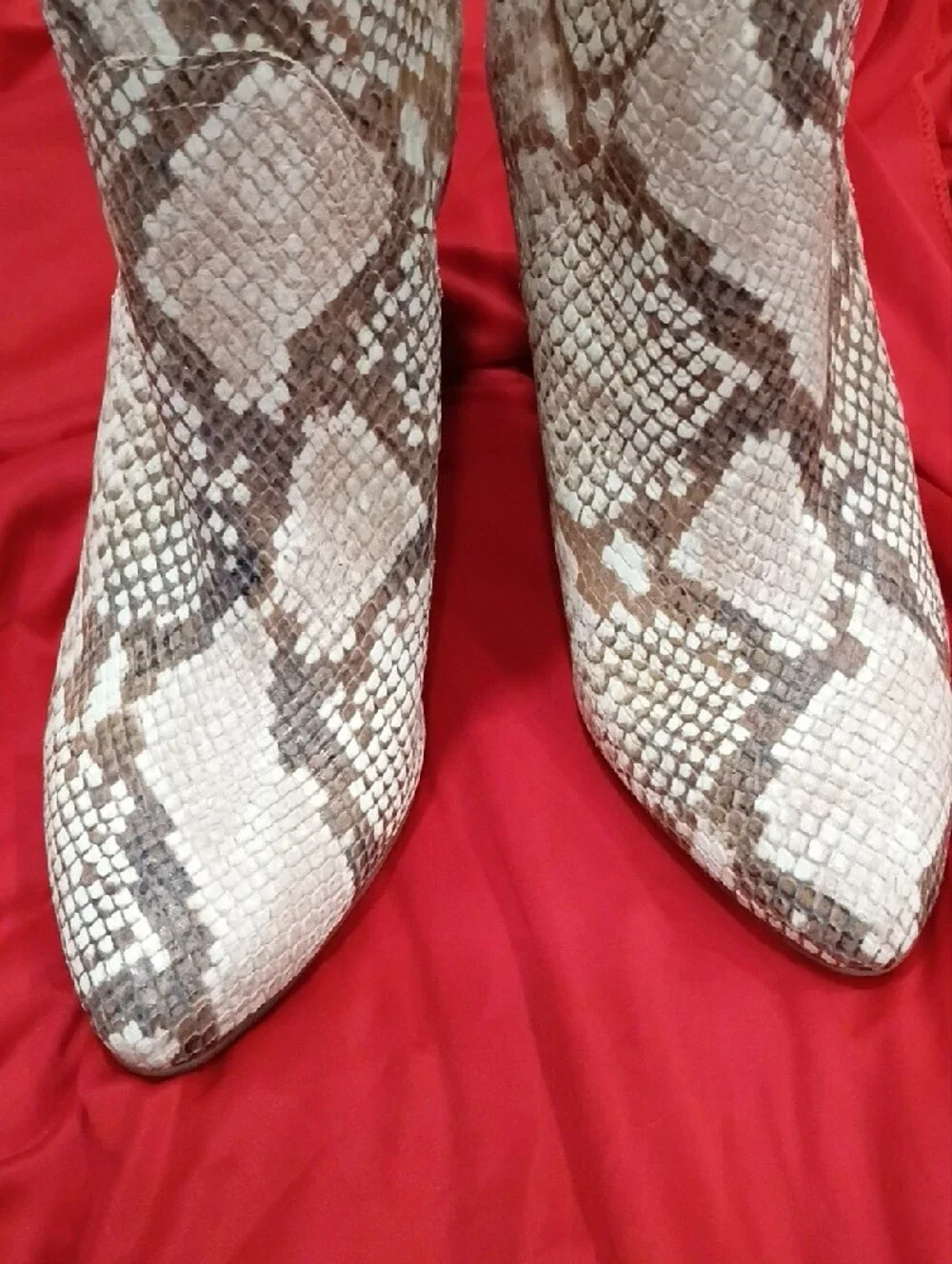 Vince Camuto Cream and Brown Snake-Print Pointed Ankle Booties